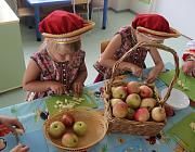 Яблочные традиции